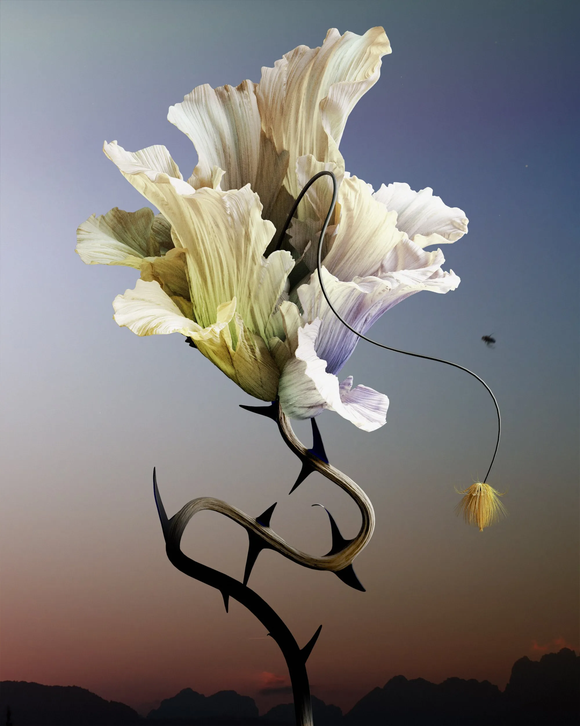 Fleur✽*° プロフご覧くださいです(´◡` )♩ Perfect Pink Santa Fe Phlox, Phlox nana | High Country Gardens